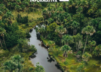 Pauta Informativa