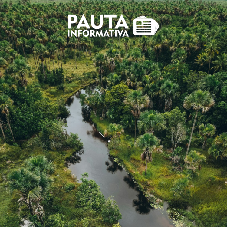 Pauta Informativa