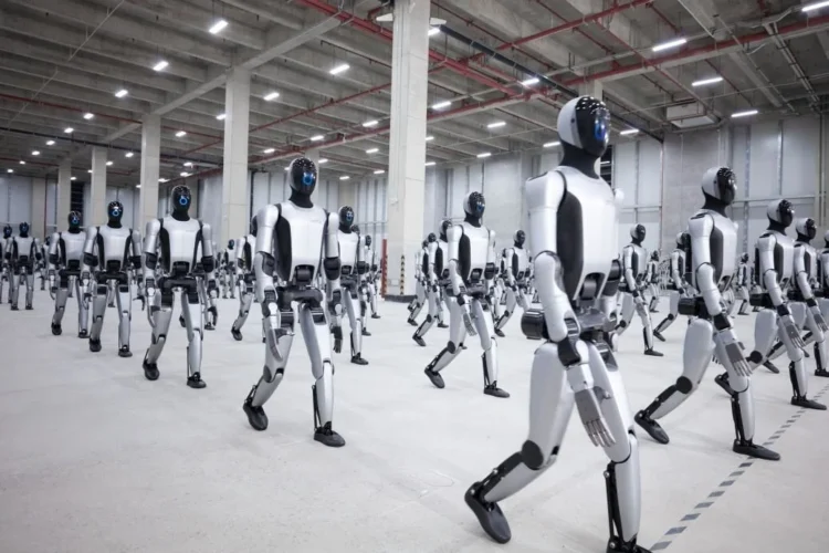 Robôs Humanoides: Uma Ameaça ao Futuro do Emprego Humano?