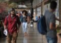 Universidades atuais produzem ‘cérebros muito esquisitos’ e sofrem aparelhamento ideológico, diz Rafael Nogueira