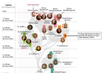 Da Extinção dos Dinossauros à Diversidade Humana: A Jornada Evolutiva do Homo sapiens