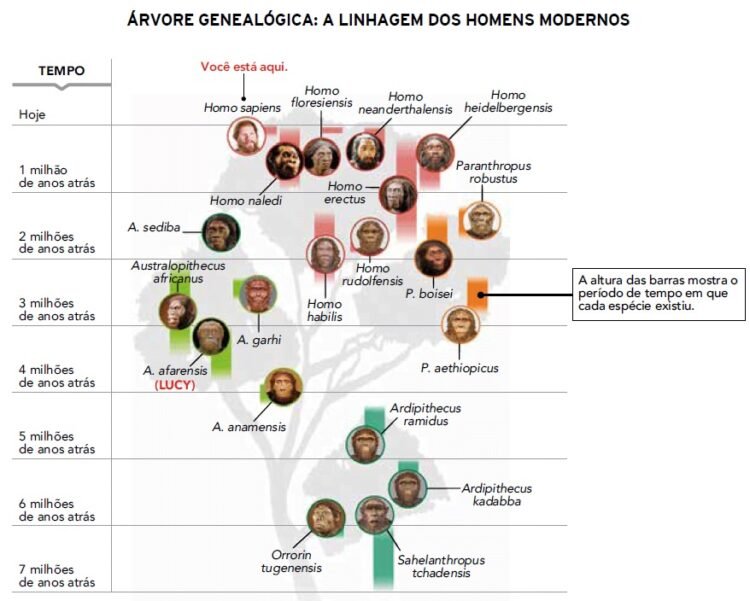 Da Extinção dos Dinossauros à Diversidade Humana: A Jornada Evolutiva do Homo sapiens