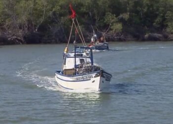 Ministério da Pesca e Aquicultura suspende milhares de registros de pescadores no Maranhão