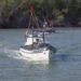 Ministério da Pesca e Aquicultura suspende milhares de registros de pescadores no Maranhão