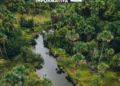 Pauta Informativa